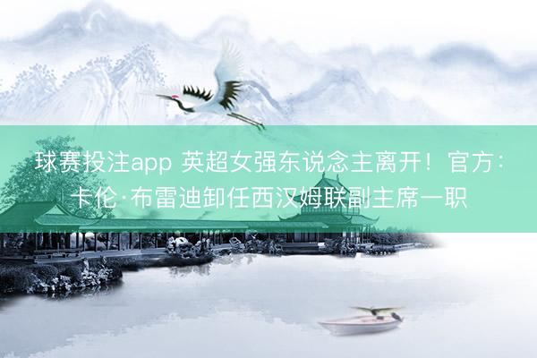 球赛投注app 英超女强东说念主离开！官方：卡伦·布雷迪卸任西汉姆联副主席一职