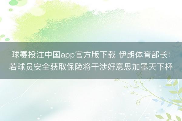 球赛投注中国app官方版下载 伊朗体育部长：若球员安全获取保险将干涉好意思加墨天下杯