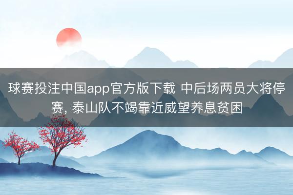 球赛投注中国app官方版下载 中后场两员大将停赛， 泰山队不竭靠近威望养息贫困