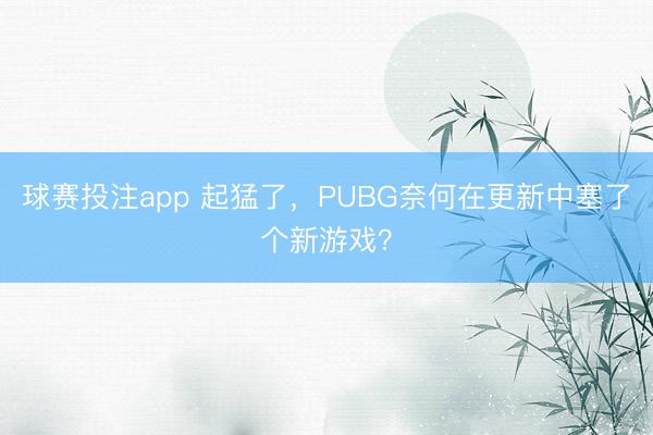 球赛投注app 起猛了，PUBG奈何在更新中塞了个新游戏？