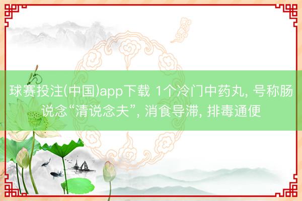 球赛投注(中国)app下载 1个冷门中药丸， 号称肠说念“清说念夫”， 消食导滞， 排毒通便