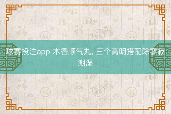球赛投注app 木香顺气丸， 三个高明搭配除寥寂潮湿