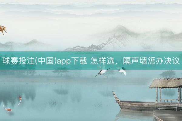 球赛投注(中国)app下载 怎样选，隔声墙惩办决议