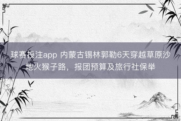 球赛投注app 内蒙古锡林郭勒6天穿越草原沙地火猴子路，报团预算及旅行社保举