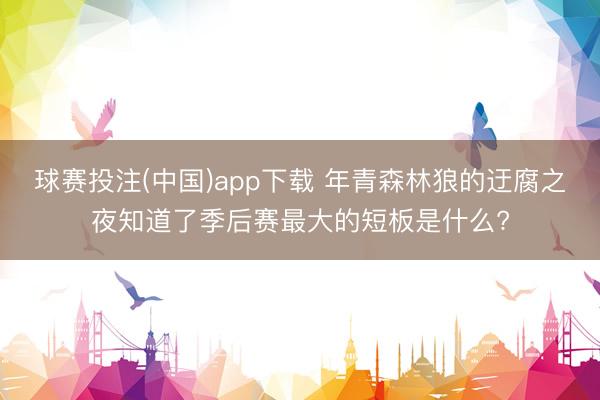 球赛投注(中国)app下载 年青森林狼的迂腐之夜知道了季后赛最大的短板是什么?