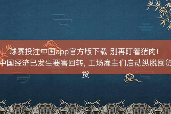 球赛投注中国app官方版下载 别再盯着猪肉! 中国经济已发生要害回转， 工场雇主们启动纵脱囤货
