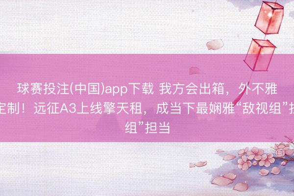 球赛投注(中国)app下载 我方会出箱，外不雅可定制！远征A3上线擎天租，成当下最娴雅“敌视组”担当