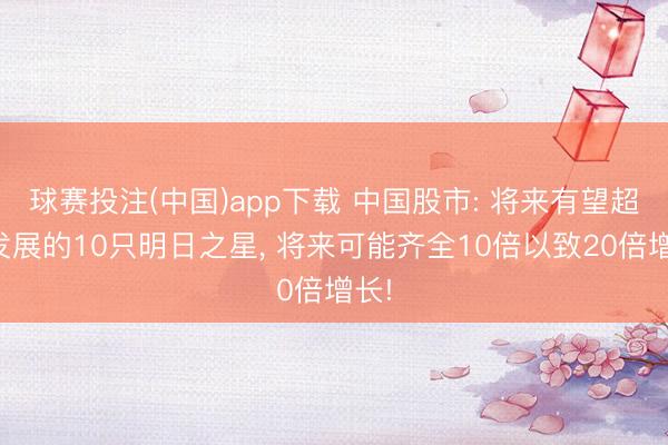球赛投注(中国)app下载 中国股市: 将来有望超常发展的10只明日之星， 将来可能齐全10倍以致20倍增长!
