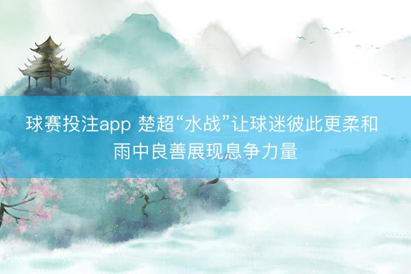 球赛投注app 楚超“水战”让球迷彼此更柔和 雨中良善展现息争力量