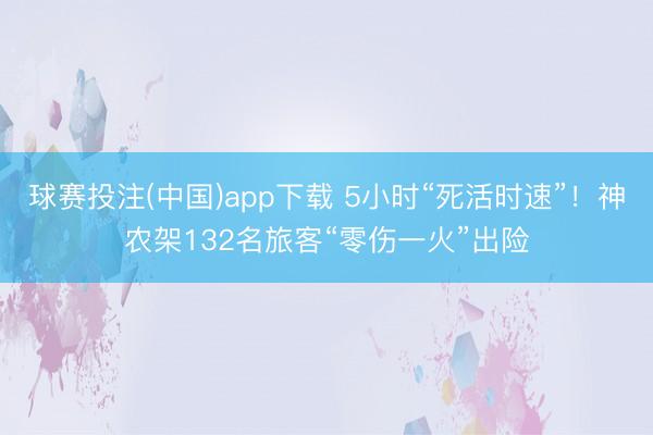 球赛投注(中国)app下载 5小时“死活时速”！神农架132名旅客“零伤一火”出险