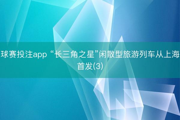 球赛投注app “长三角之星”闲散型旅游列车从上海首发(3)