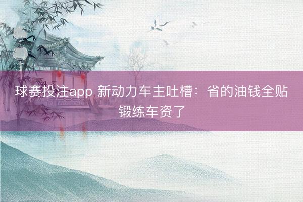 球赛投注app 新动力车主吐槽：省的油钱全贴锻练车资了