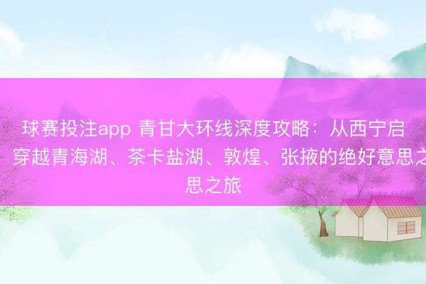 球赛投注app 青甘大环线深度攻略：从西宁启程，穿越青海湖、茶卡盐湖、敦煌、张掖的绝好意思之旅
