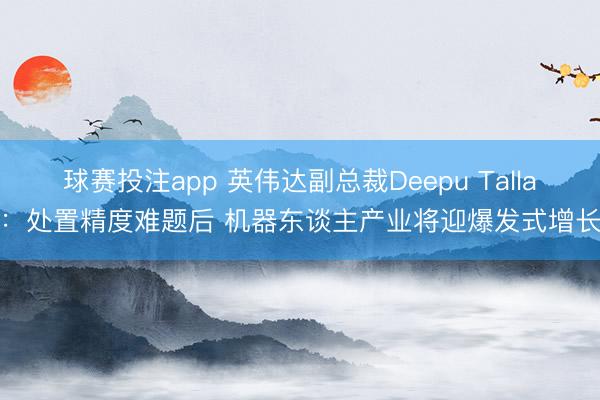 球赛投注app 英伟达副总裁Deepu Talla：处置精度难题后 机器东谈主产业将迎爆发式增长