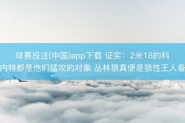 球赛投注(中国)app下载 证实：2米18的科内特都是他们猛攻的对象 丛林狼真便是狼性王人备