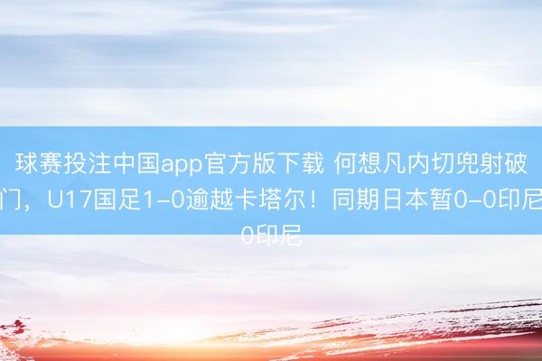 球赛投注中国app官方版下载 何想凡内切兜射破门，U17国足1-0逾越卡塔尔！同期日本暂0-0印尼