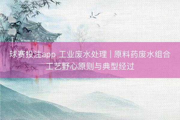 球赛投注app 工业废水处理 | 原料药废水组合工艺野心原则与典型经过
