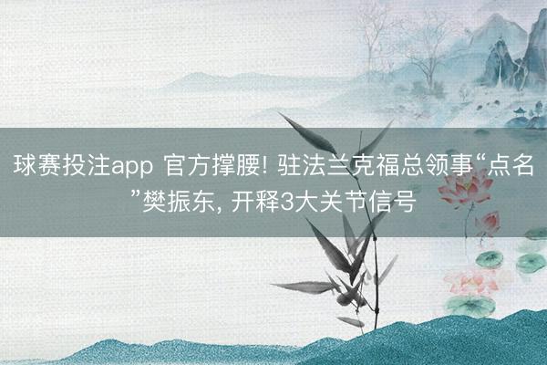 球赛投注app 官方撑腰! 驻法兰克福总领事“点名”樊振东， 开释3大关节信号