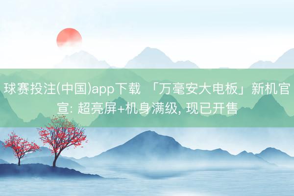 球赛投注(中国)app下载 「万毫安大电板」新机官宣: 超亮屏+机身满级， 现已开售