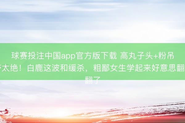 球赛投注中国app官方版下载 高丸子头+粉吊带太绝！白鹿这波和缓杀，粗鄙女生学起来好意思翻了