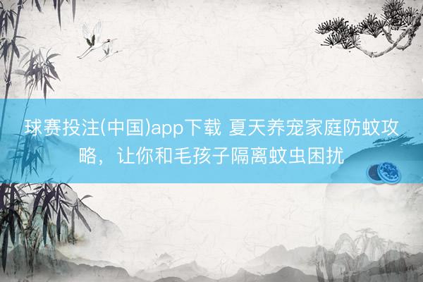 球赛投注(中国)app下载 夏天养宠家庭防蚊攻略，让你和毛孩子隔离蚊虫困扰