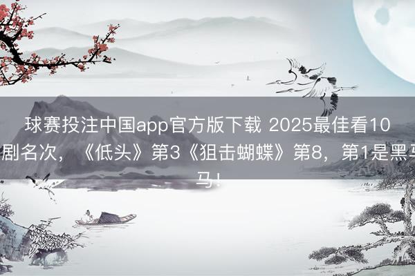 球赛投注中国app官方版下载 2025最佳看10部剧名次，《低头》第3《狙击蝴蝶》第8，第1是黑马！