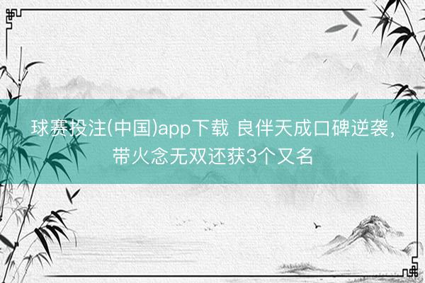 球赛投注(中国)app下载 良伴天成口碑逆袭，带火念无双还获3个又名