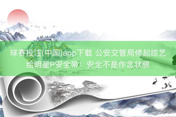 球赛投注(中国)app下载 公安交管局修起综艺给明星P安全带：安全不是作念状貌