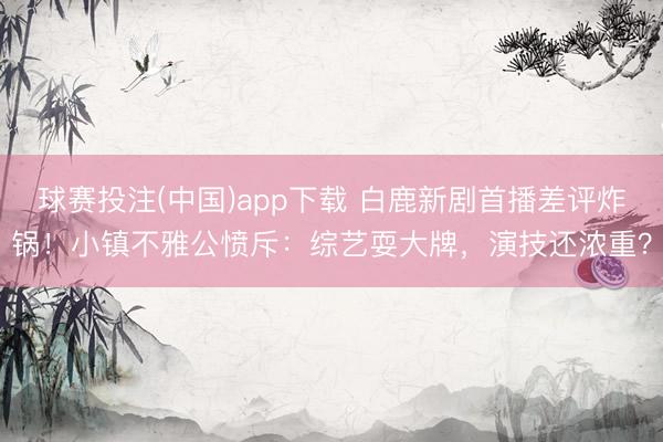 球赛投注(中国)app下载 白鹿新剧首播差评炸锅!小镇不雅公愤斥:综艺耍大牌,演技还浓重?