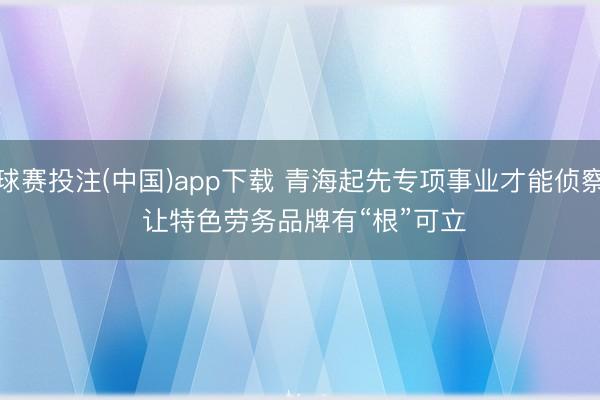 球赛投注(中国)app下载 青海起先专项事业才能侦察 让特色劳务品牌有“根”可立