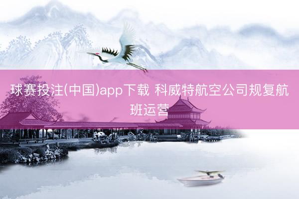 球赛投注(中国)app下载 科威特航空公司规复航班运营