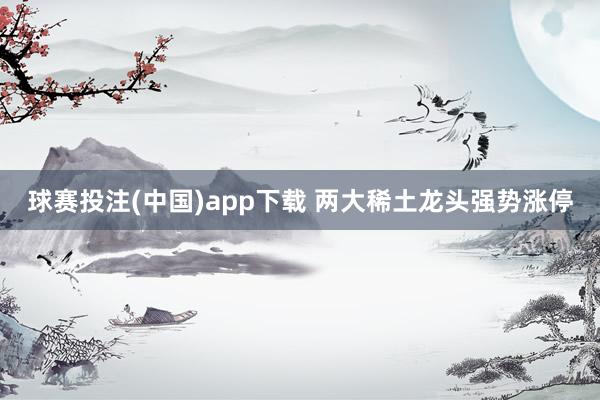 球赛投注(中国)app下载 两大稀土龙头强势涨停