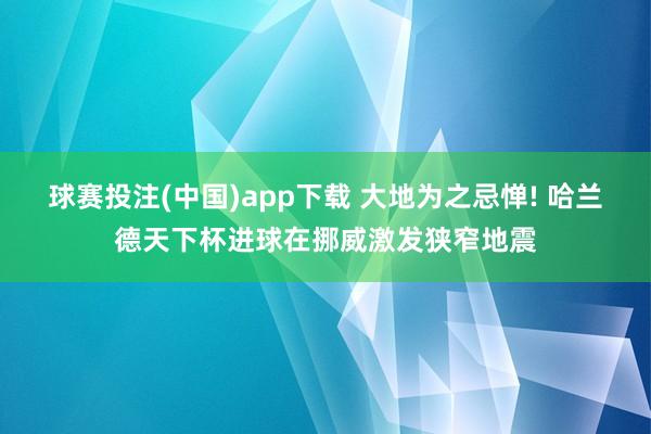 球赛投注(中国)app下载 大地为之忌惮! 哈兰德天下杯进球在挪威激发狭窄地震