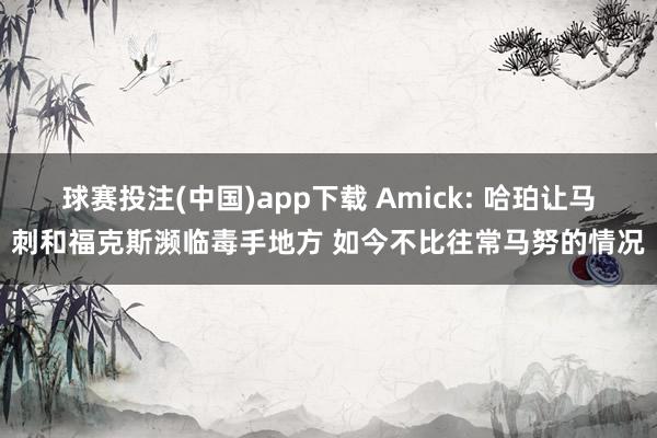 球赛投注(中国)app下载 Amick: 哈珀让马刺和福克斯濒临毒手地方 如今不比往常马努的情况