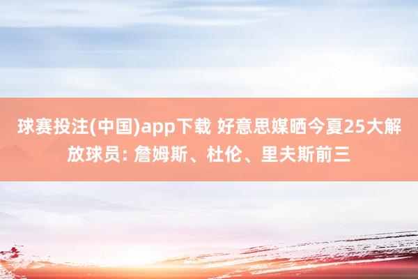 球赛投注(中国)app下载 好意思媒晒今夏25大解放球员: 詹姆斯、杜伦、里夫斯前三